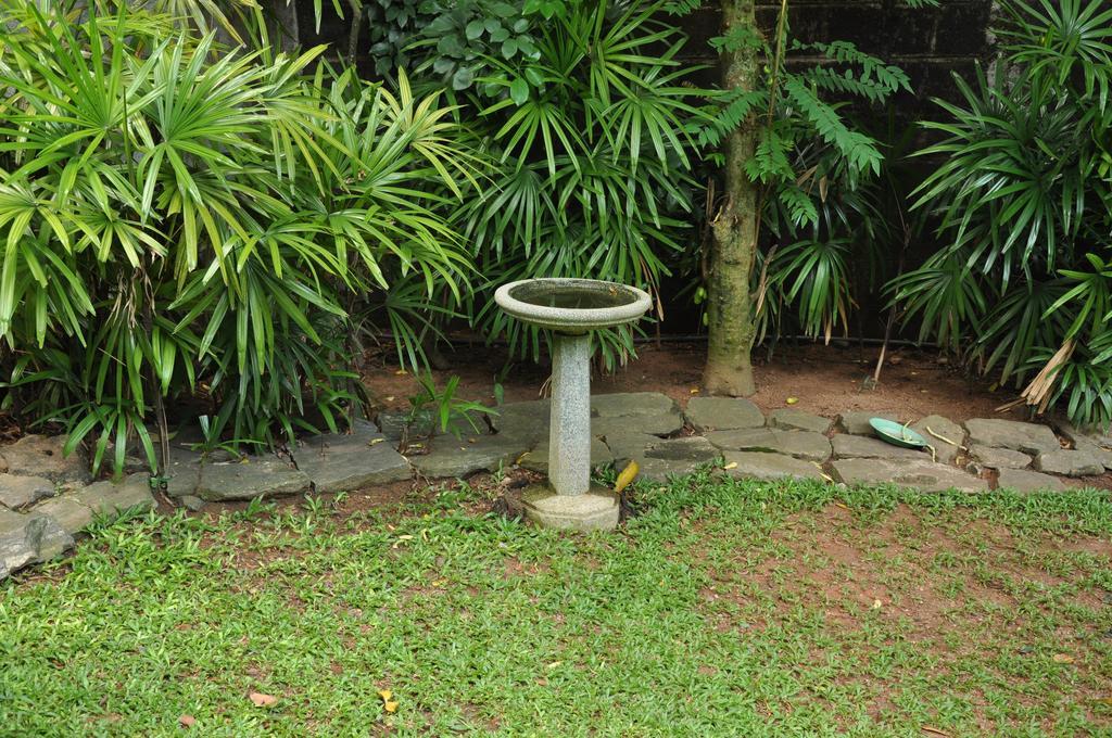 Bangalawa Bed & Breakfast Nawala ภายนอก รูปภาพ